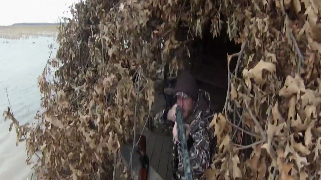 Moonshiners public still 2