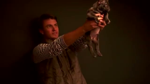 Southern Charm public still 3